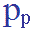Professional Processor