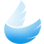 Sarus programs