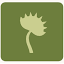 Cafe Irina, INC