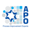 Advanced Process Optimization
