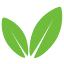 Codetree