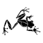 Frog Temple INC Pilates Center