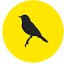 Markware web & software development