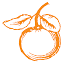 Palm harbor plastic surgery centre
